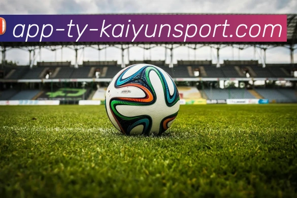 开云APP平台生态图